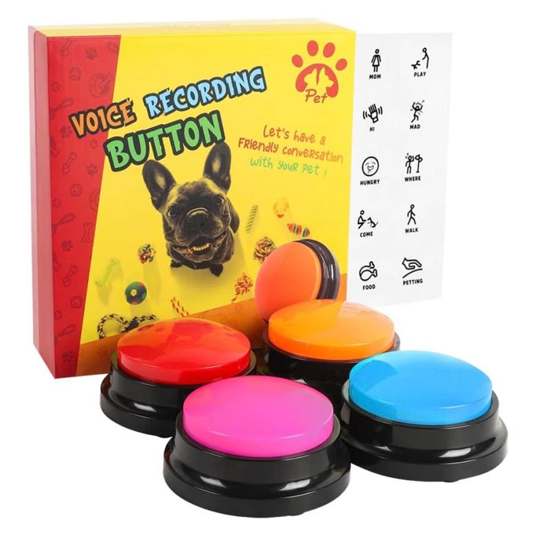 Act Boldly Voice Recording Button